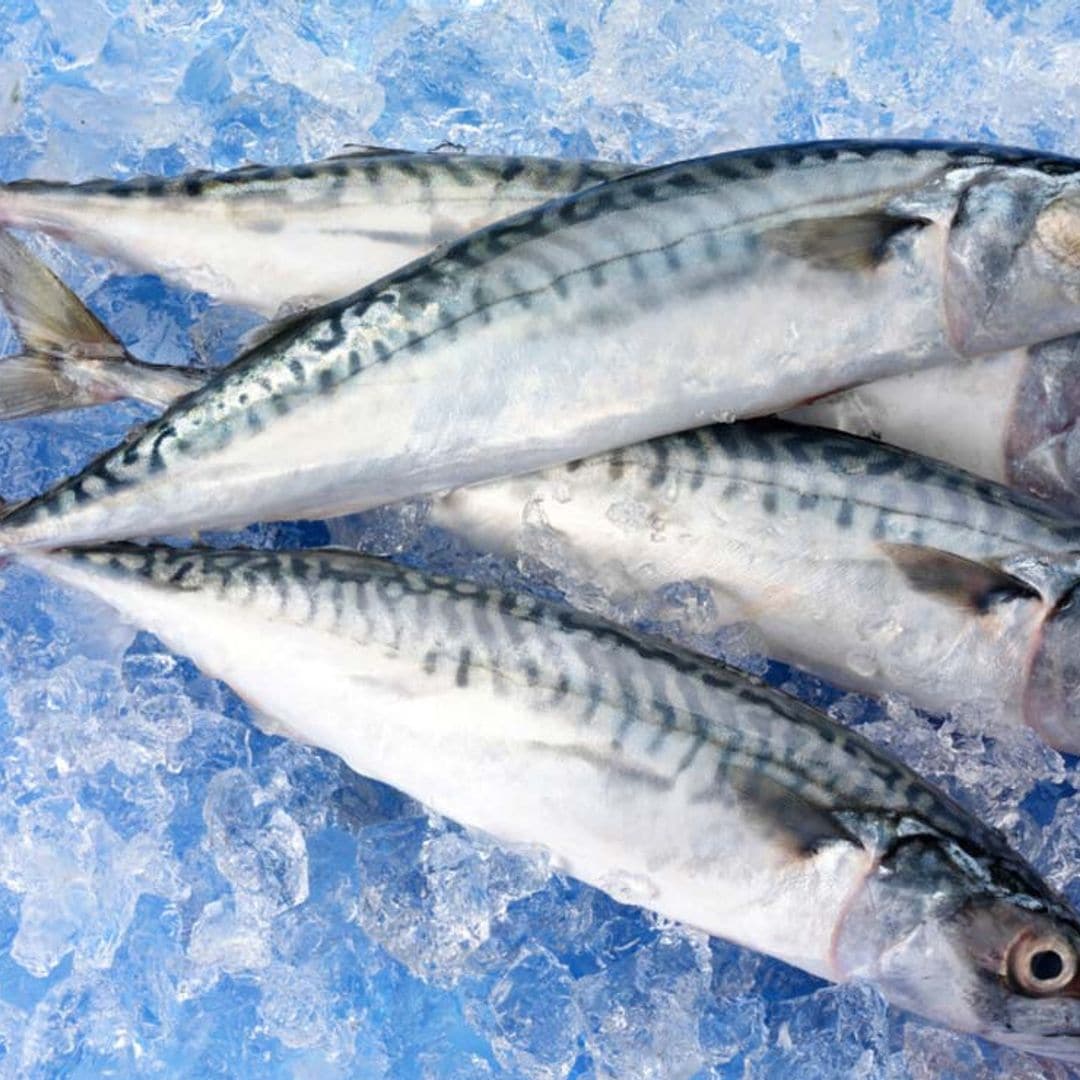 10 recetas con pescados azules, sabor y salud en cada bocado