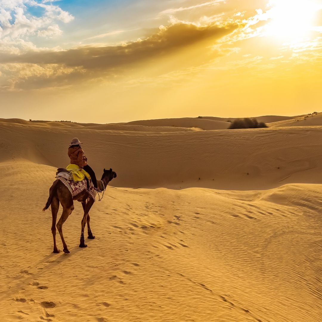 Camel riding at sunset through the Thar Desert, Jaisalmer, Rajasthan, India