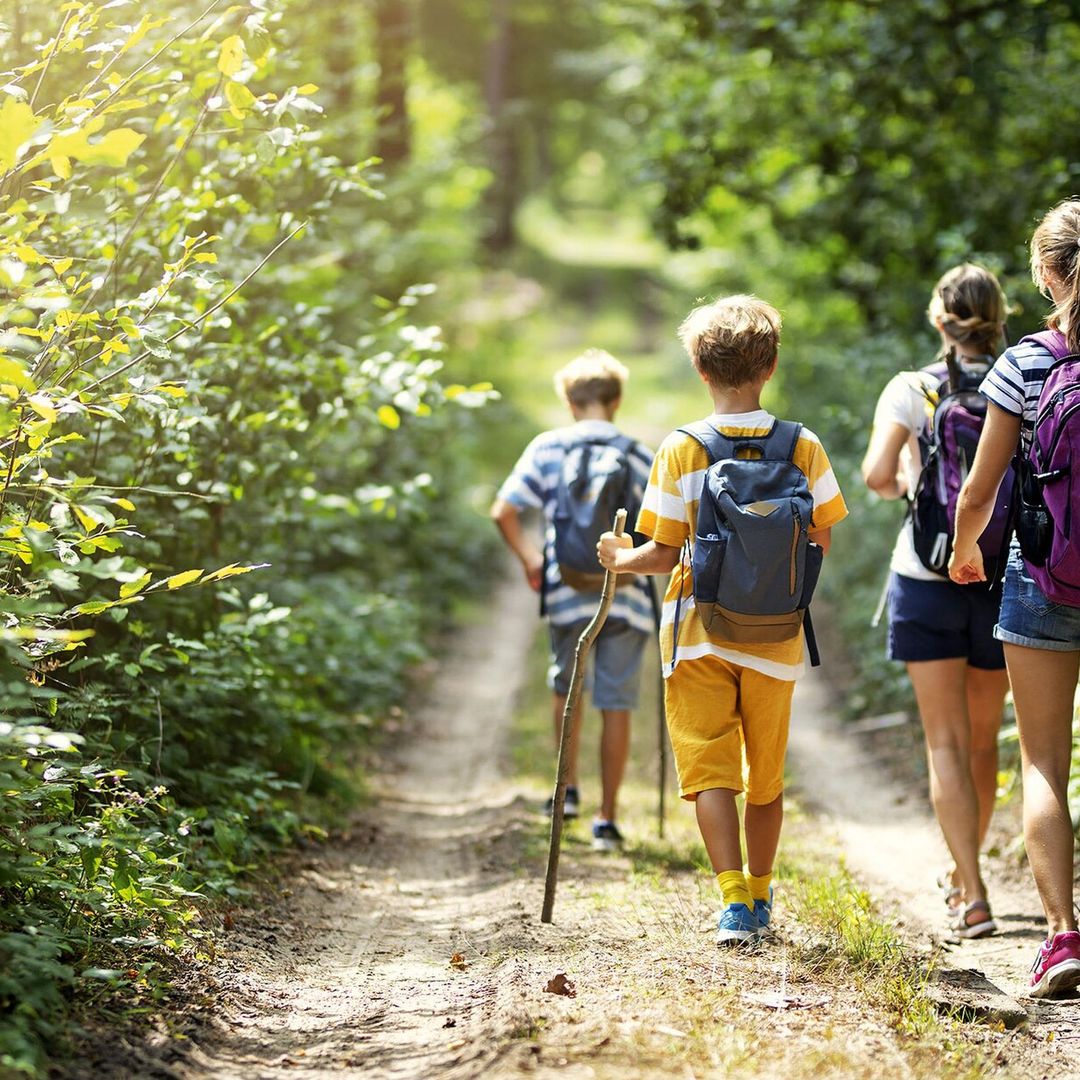 Nos vamos de excursión: vida en la naturaleza