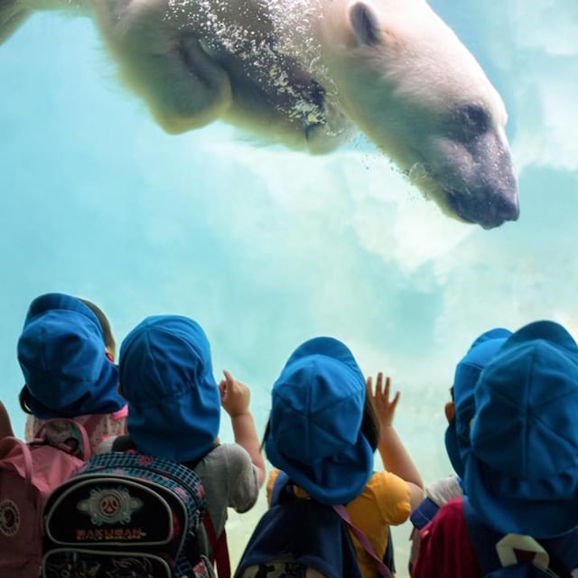 zoos y parques tem ticos de animales en espa a 