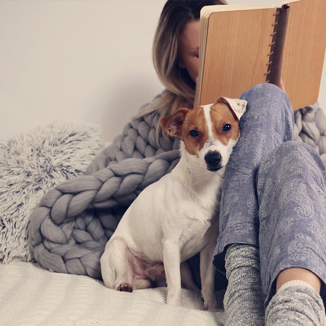 Razones científicas por las que el perro es el mejor amigo del ser humano