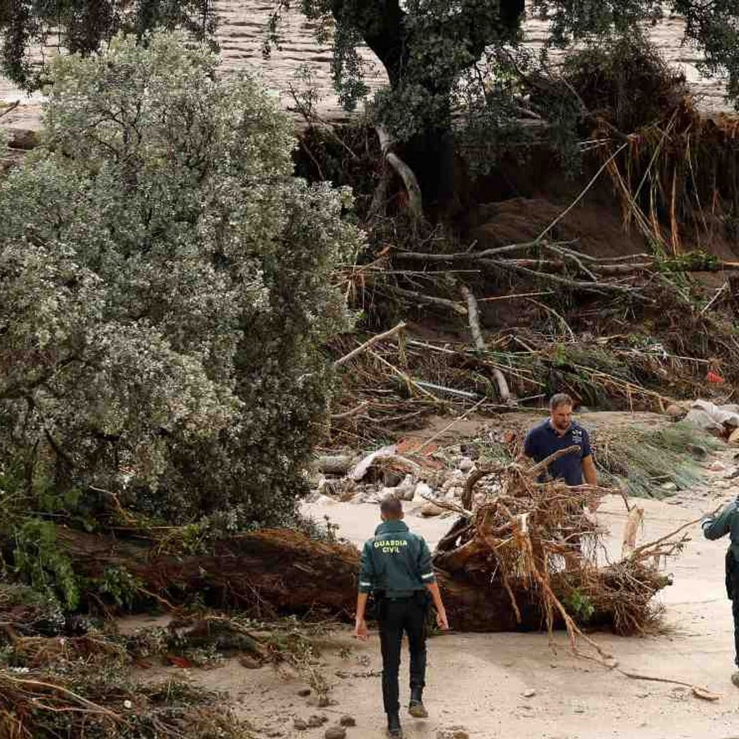 Rescatado un niño de diez años en Alberche (Madrid) tras pasar la noche subido a un árbol