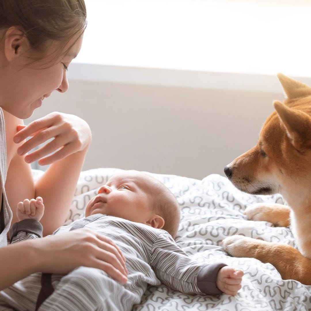 Por qué tener una mascota puede resultar muy beneficioso para tu bebé