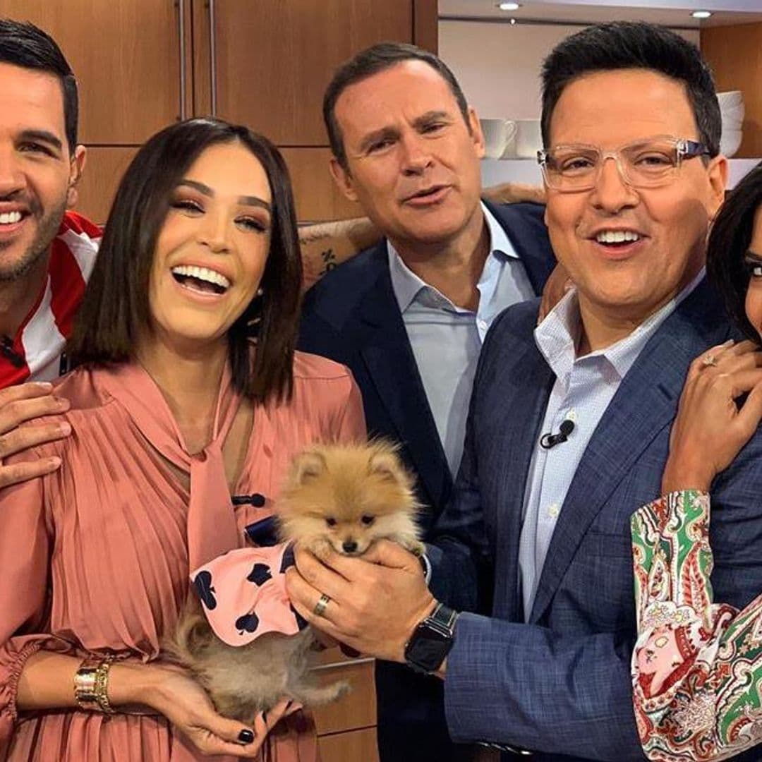 Raúl González regresa de manera oficial a 'Despierta América'