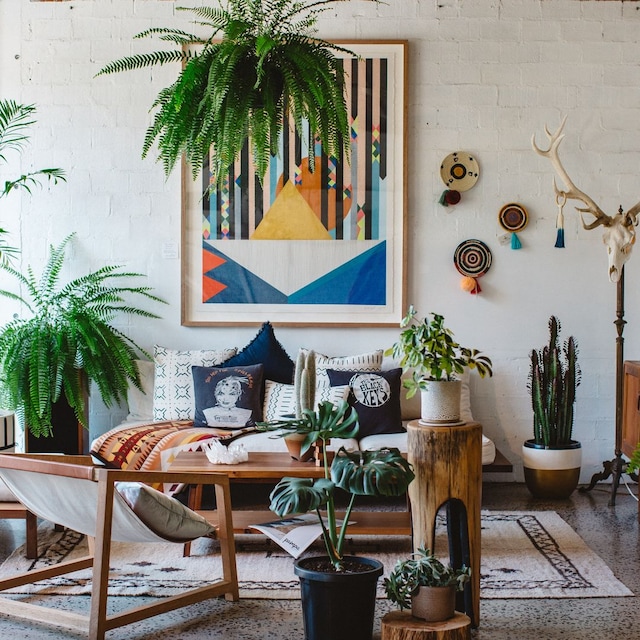 Salón lleno de plantas