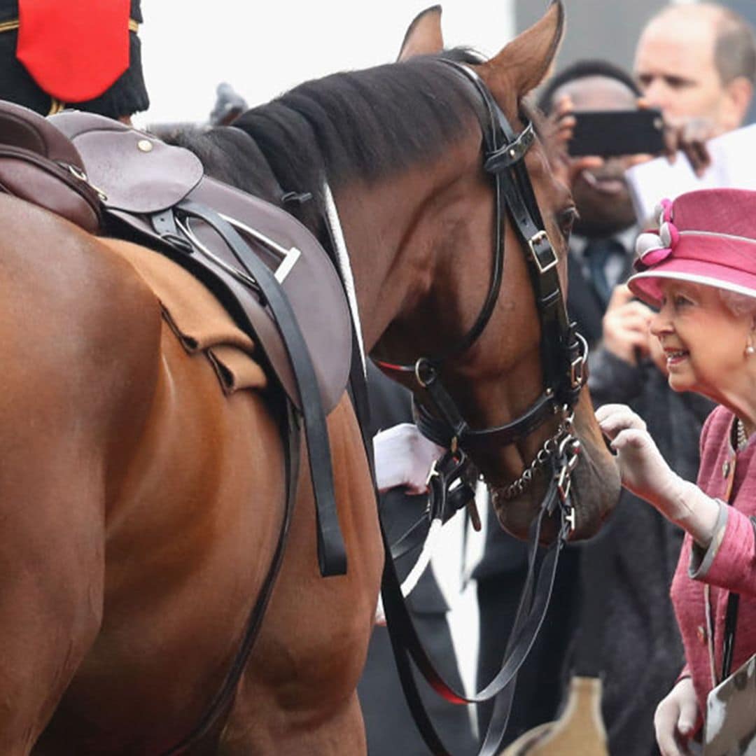 ¿Quién cuidará ahora de Emma? Así está la adorada poni de Isabel II tras el fallecimiento de la Reina