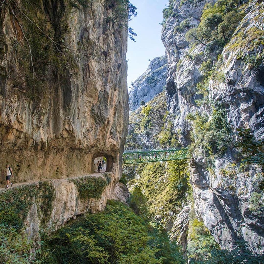 Guía para hacer la ruta del Cares, una clásica excursión en Picos de Europa