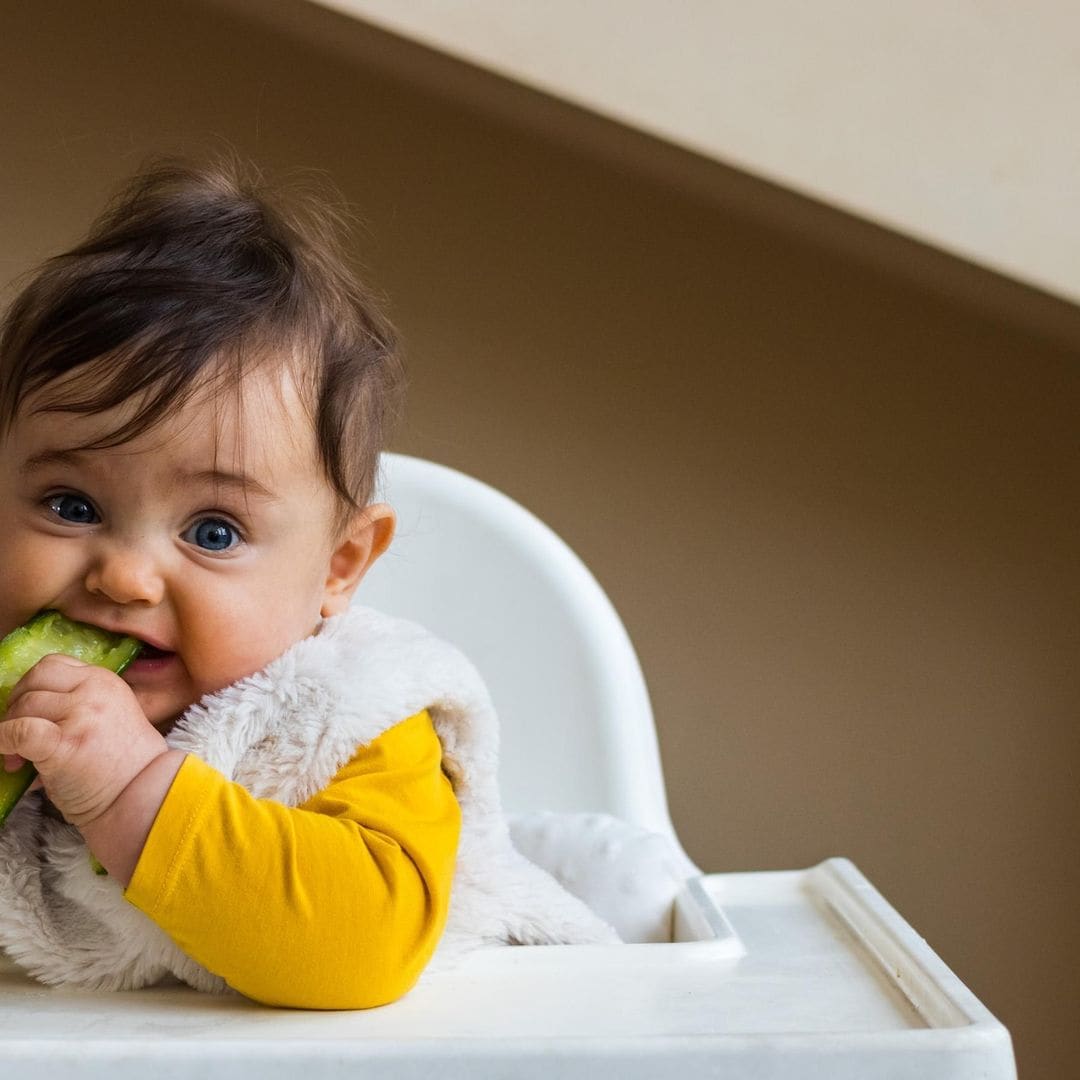 ¿Cuáles son los alimentos ideales para iniciar la alimentación complementaria?