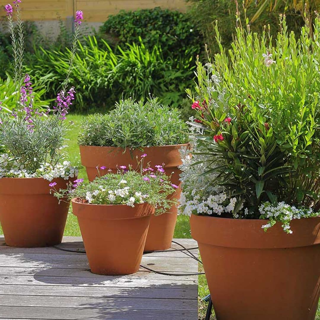 Jardineras, macetas y maceteros: cuál es cuál, qué modelo elegir y qué se lleva