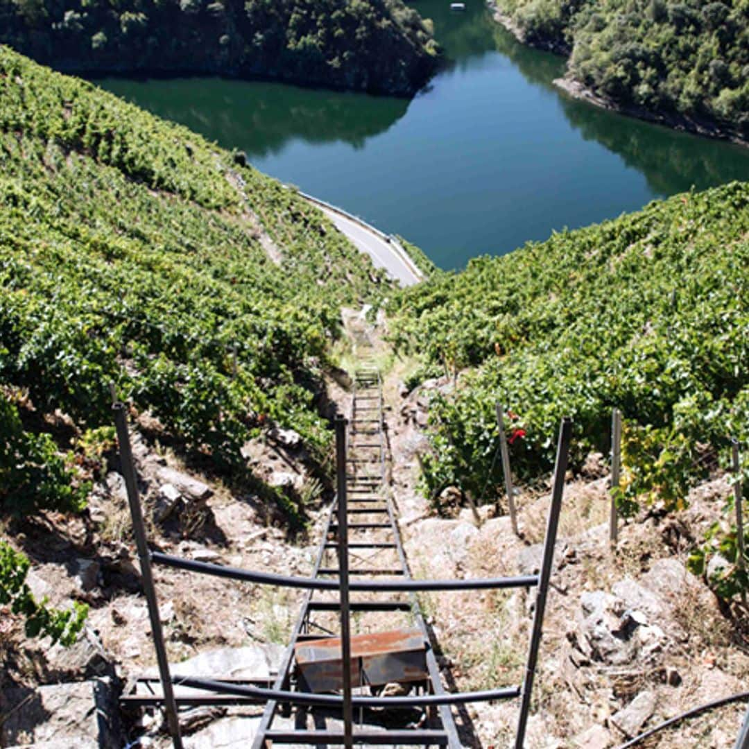 Enoturismo en la Ribeira Sacra: ¿Marvel, dices? ¡Aquí sí que hay héroes de verdad!