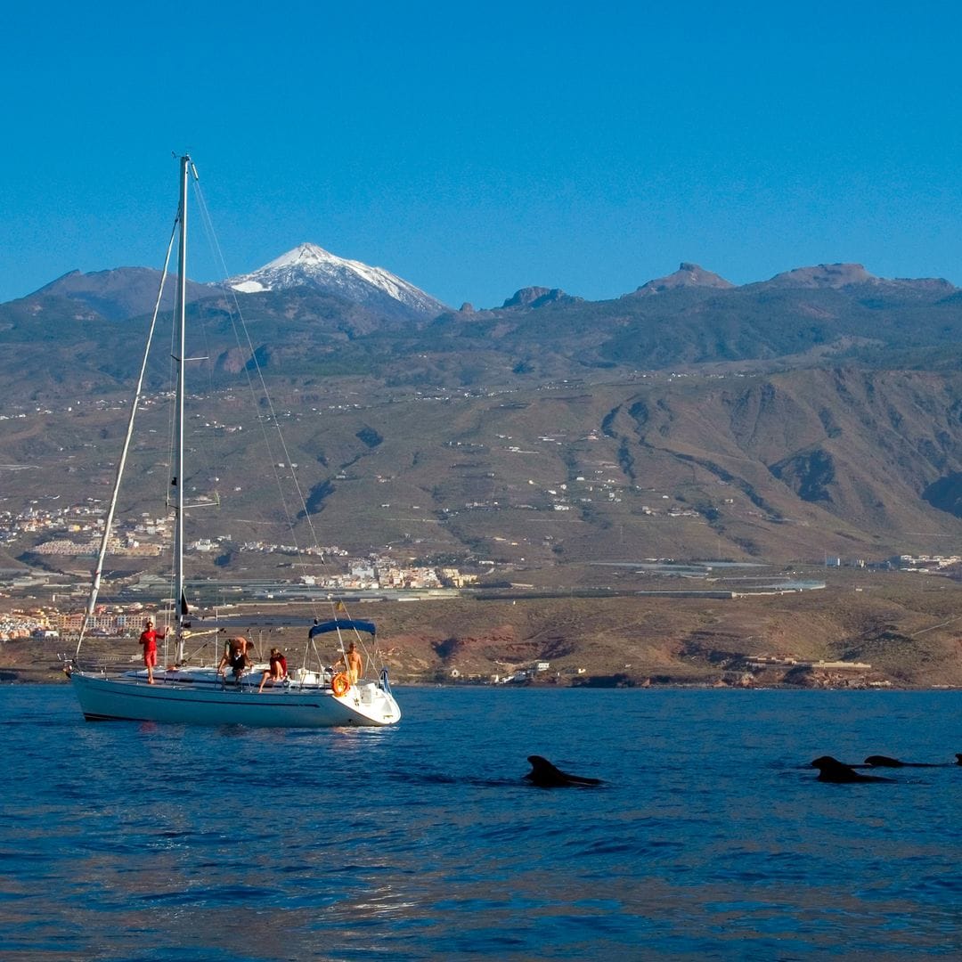 Avistamiento de delfines en Tenerife con el Teide al fondo