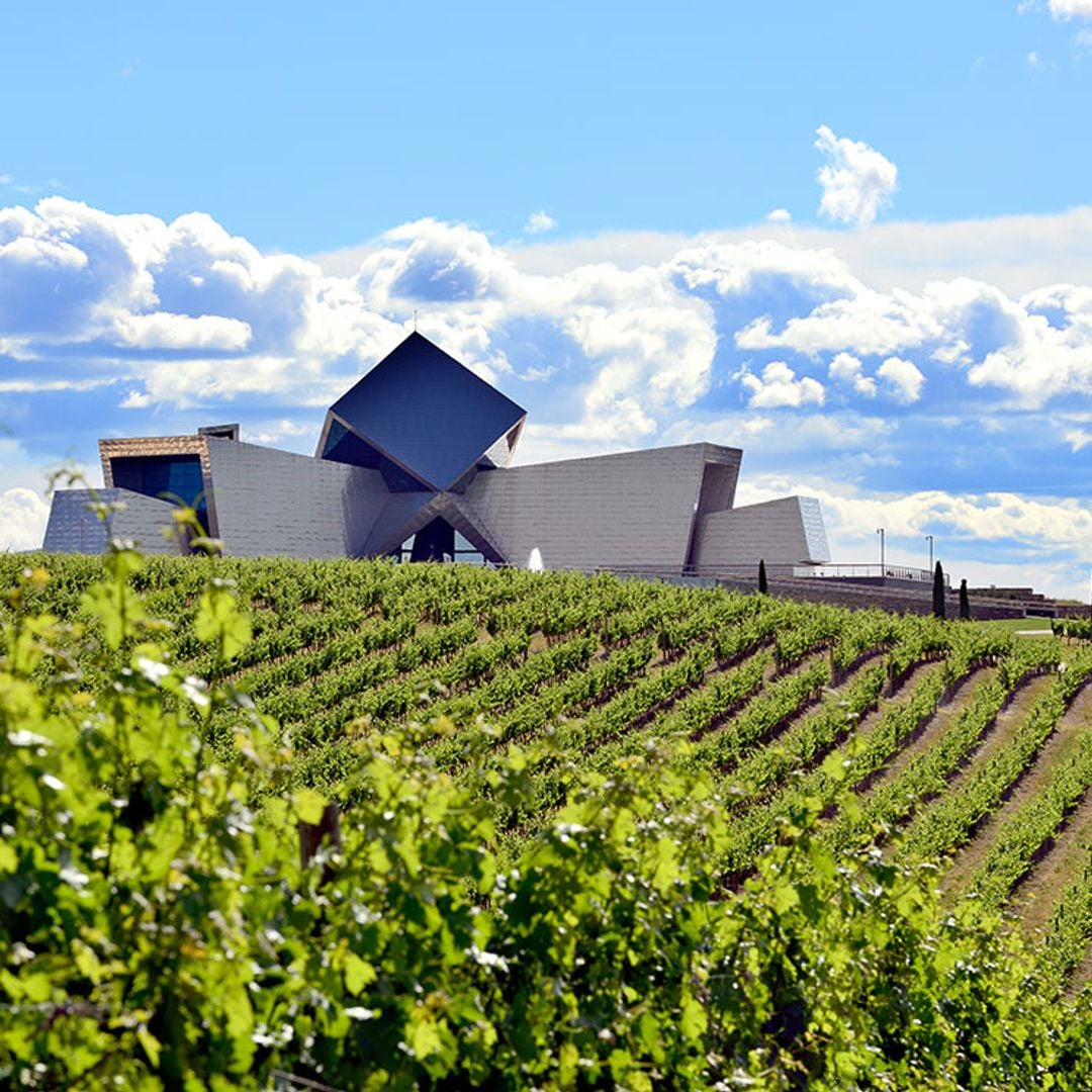 bodega sommos vinedo en primavera