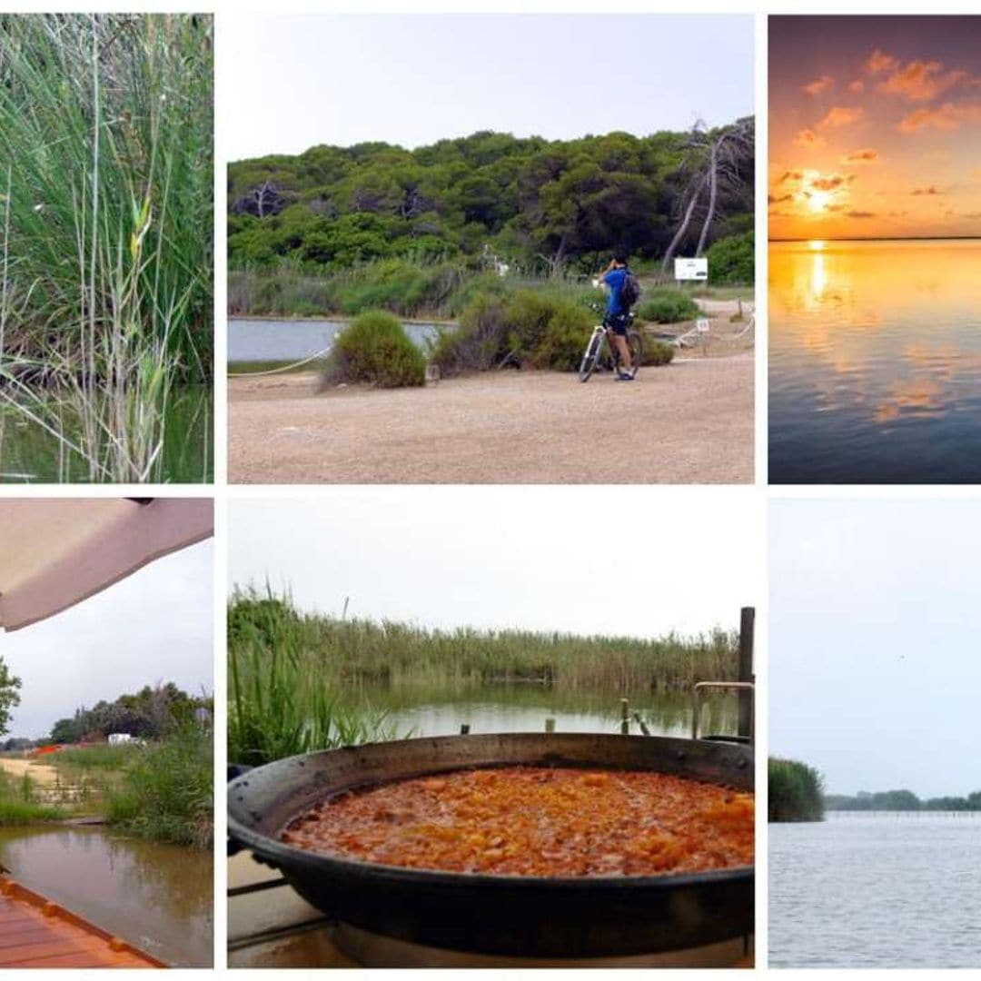 Experiencias en la Albufera, el plan perfecto en la naturaleza a 10 minutos de Valencia