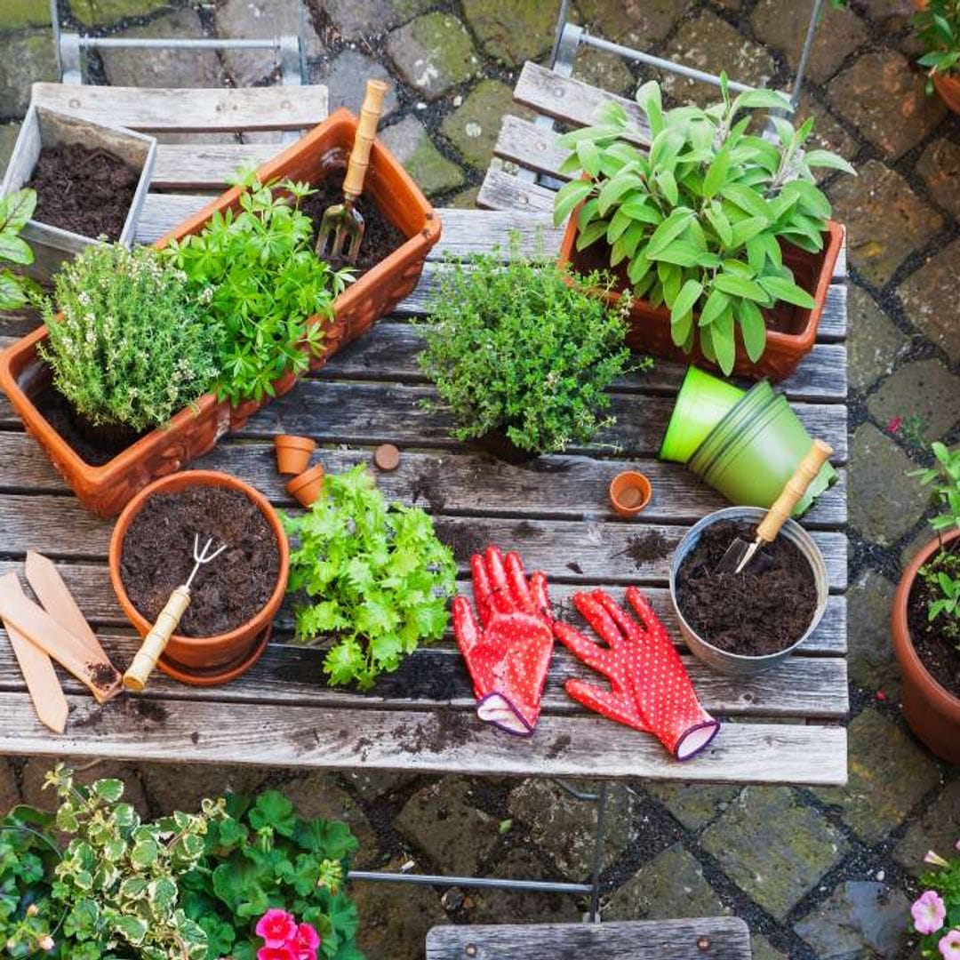 ¡Llega el buen tiempo! Nuestra guía de imprescindibles para poner tu terraza o jardín a punto