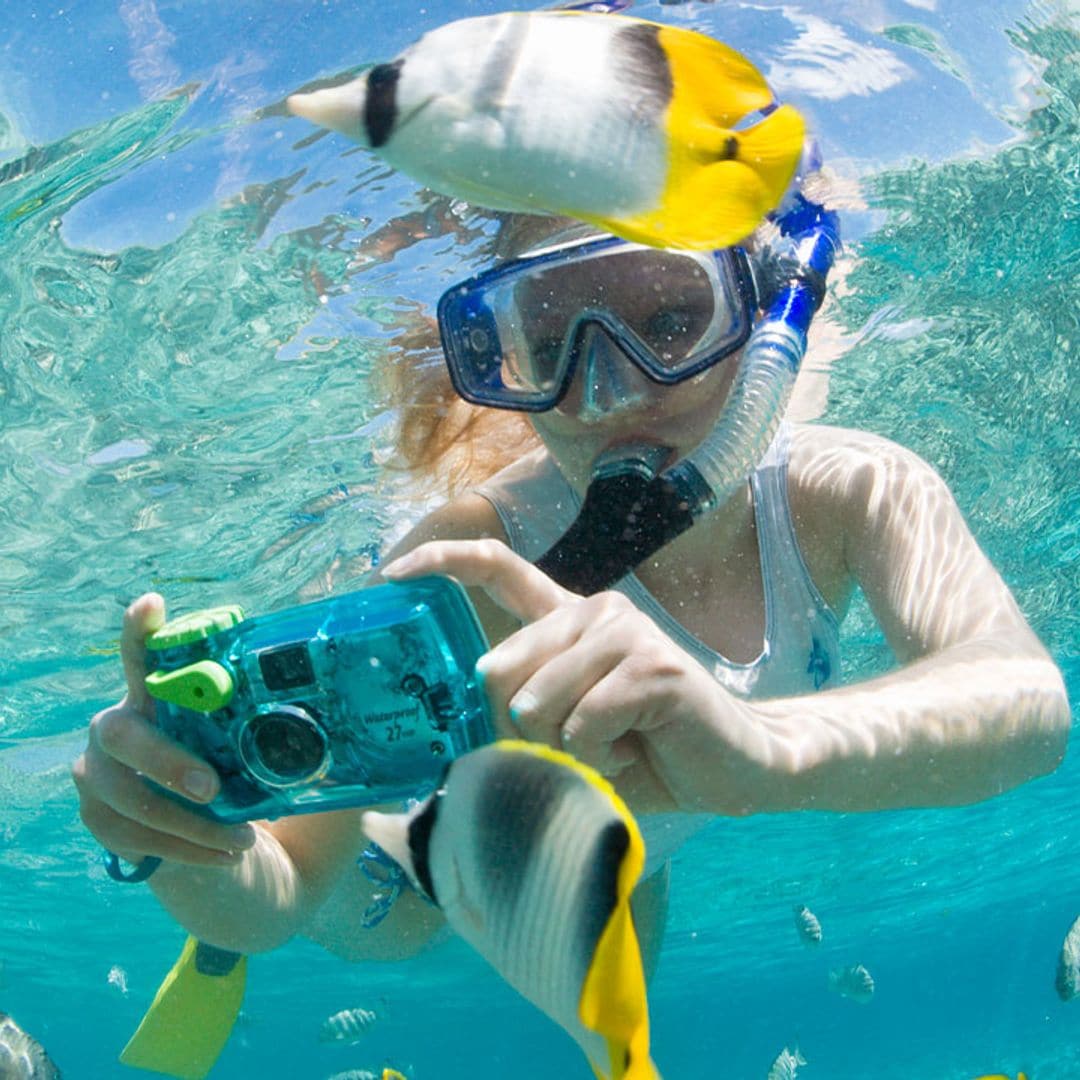 Las mejores cámaras acuáticas del mercado para hacer fotos y vídeos bajo el agua