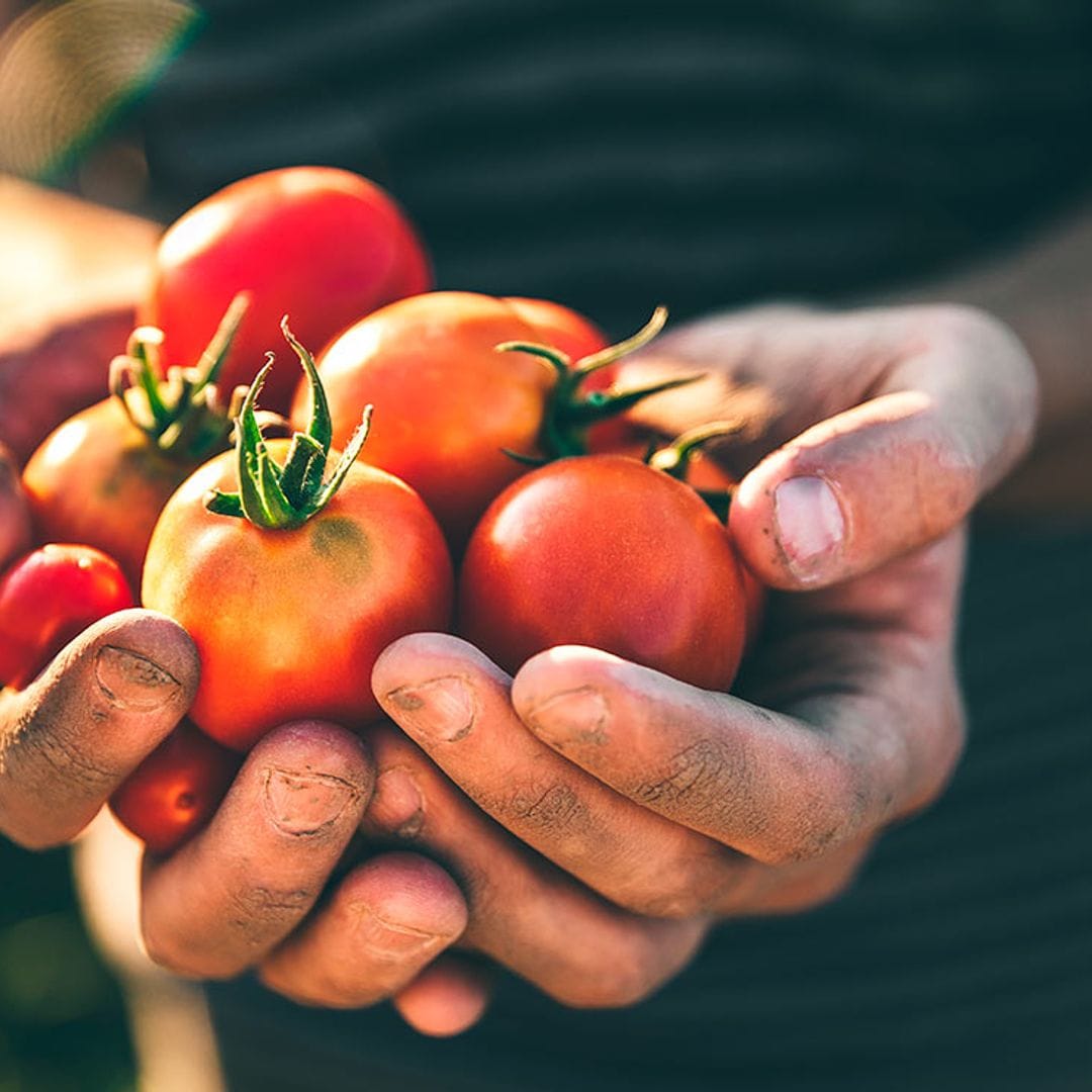 El Arca del Gusto: estos alimentos están en peligro de extinción ¡salvémoslos!