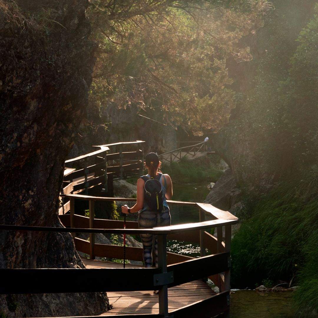 Pasarelas del río Borosa en el Parque natural de Cazorla, Segura y Las Villas