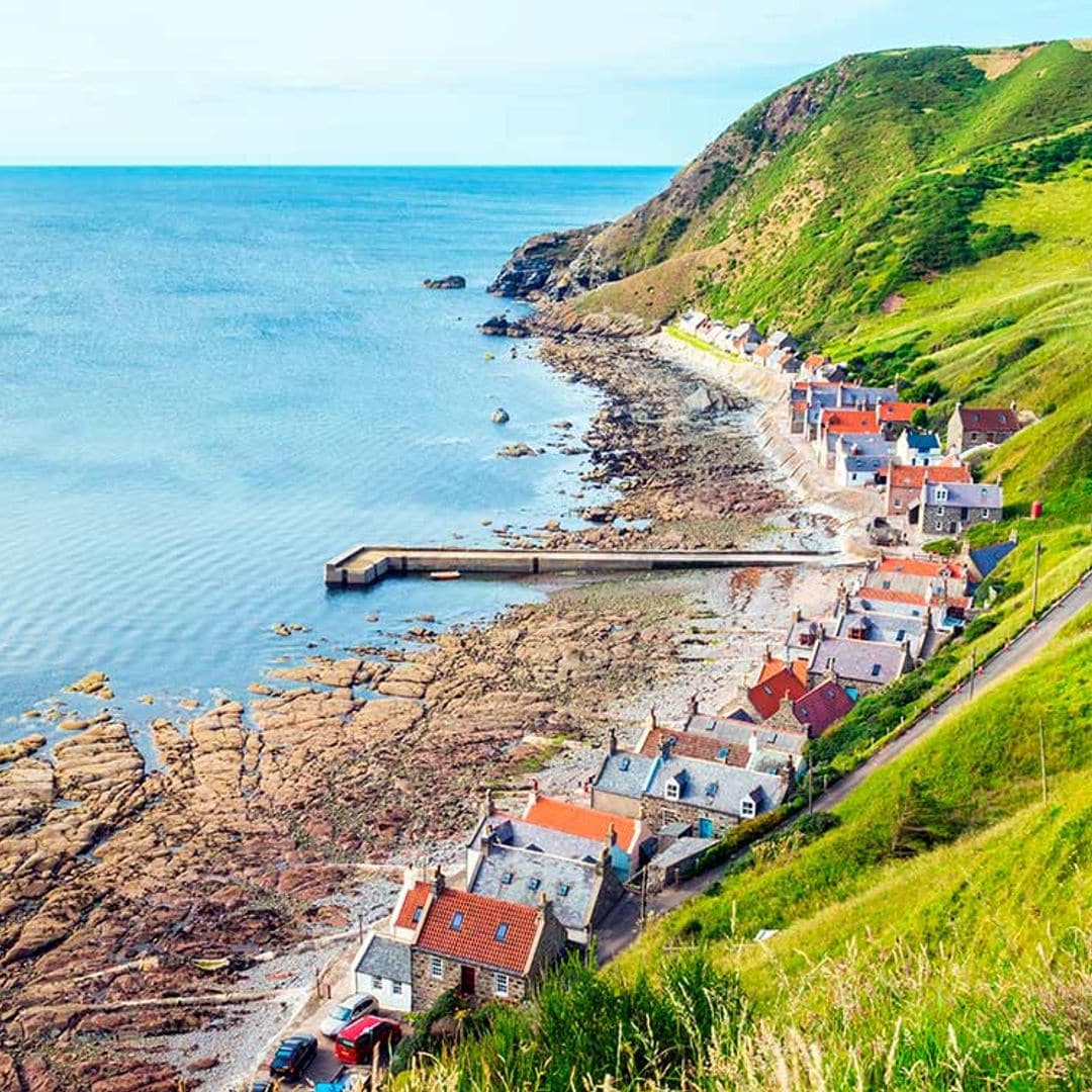 crovie