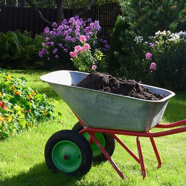 compost plantas