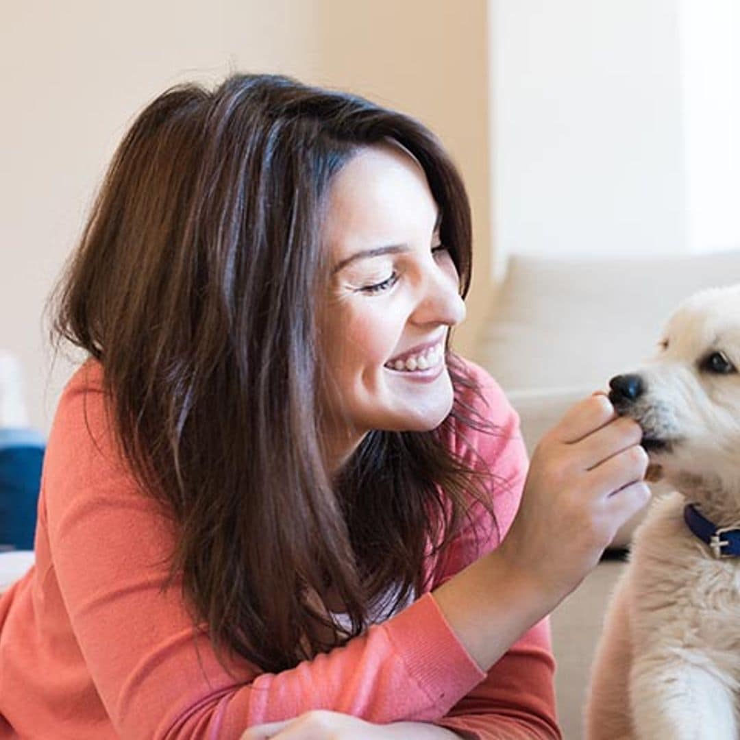 Cómo saber si eres un buen dueño para tu perro