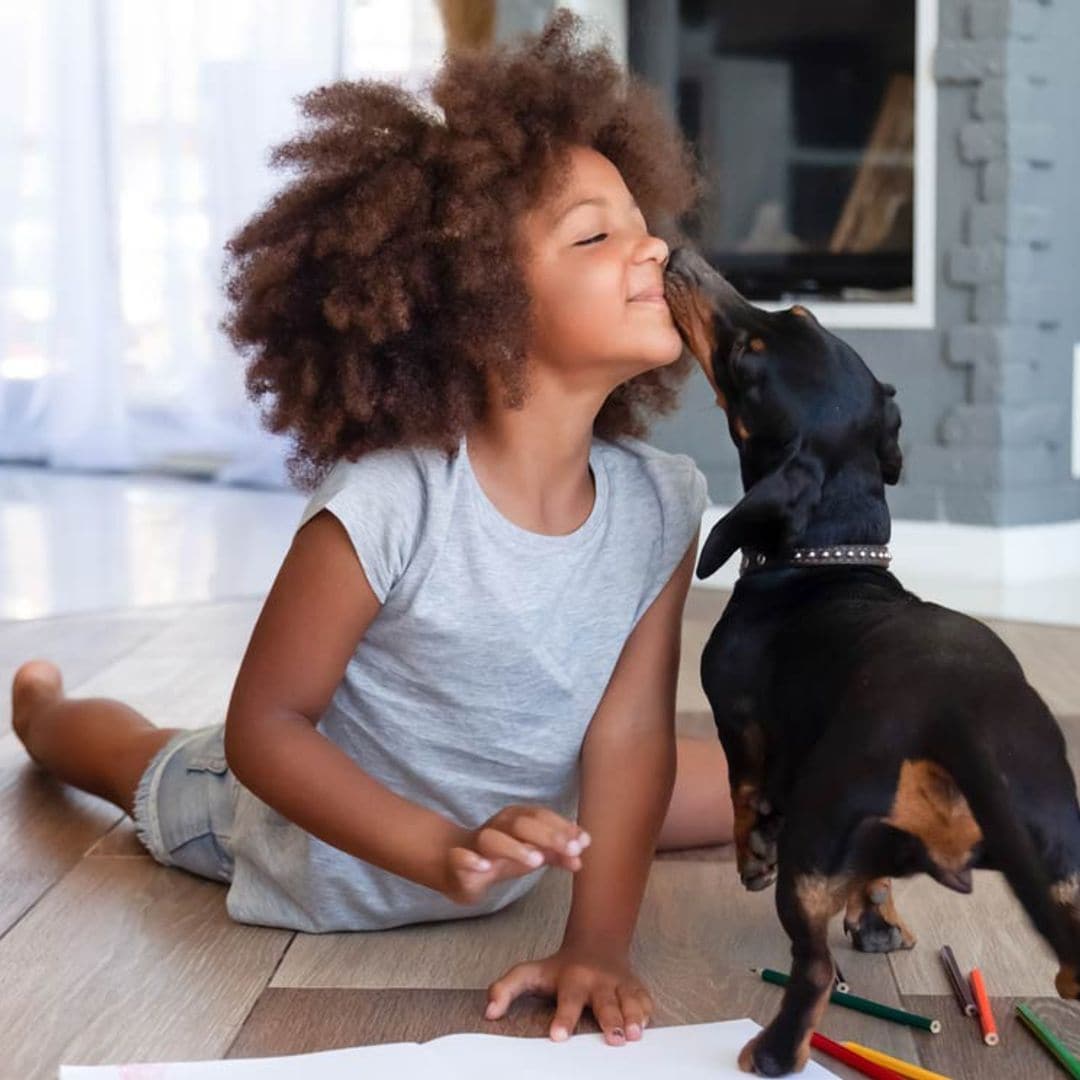 Las razas de perros que son perfectas si tienes niños en casa