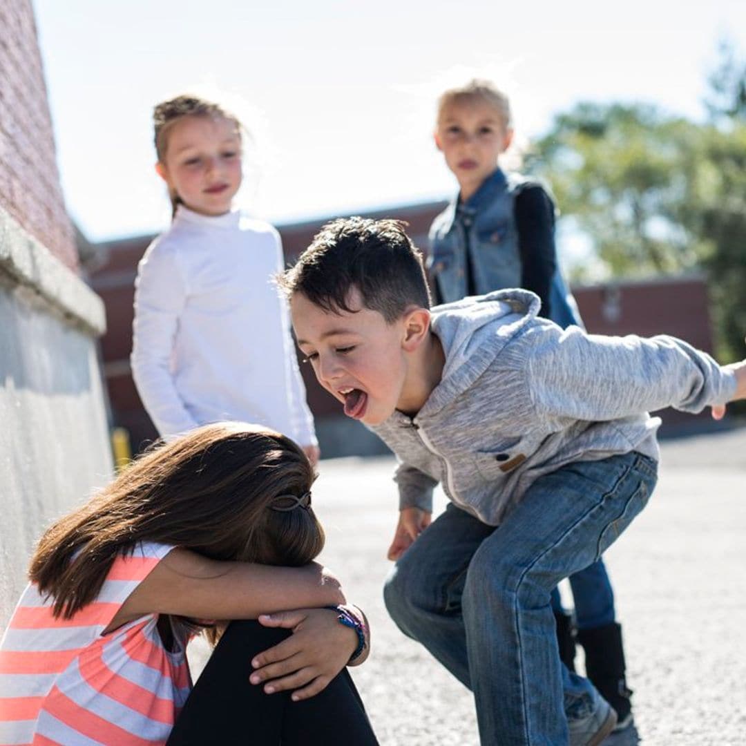 Los psicólogos advierten: no hay que juzgar a los padres de un acosador