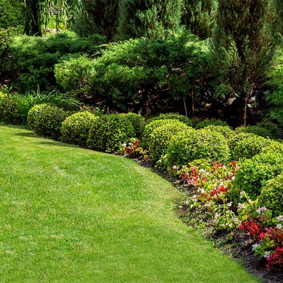 ¿Sabes elegir el tipo de césped que más le conviene a tu jardín?