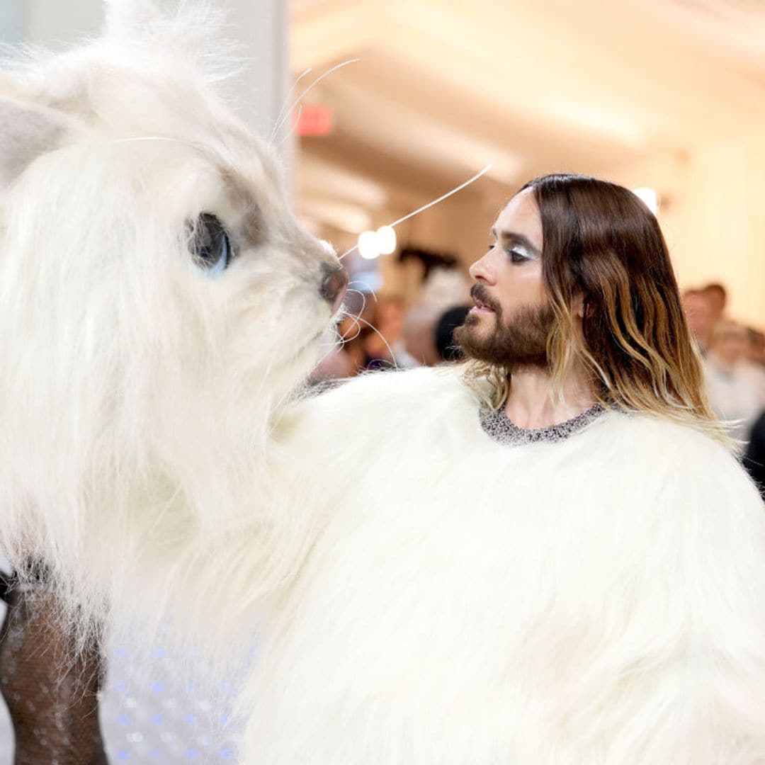 La divertida reacción de un perro al ver a Jared Leto vestido de gato en la gala MET: no te pierdas el vídeo viral