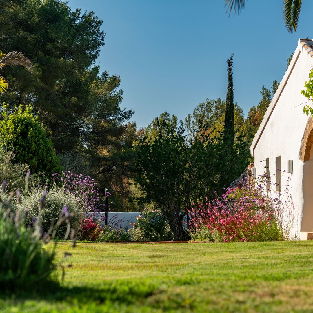 Más allá del diseño: cómo cuidar la evolución natural de tu jardín