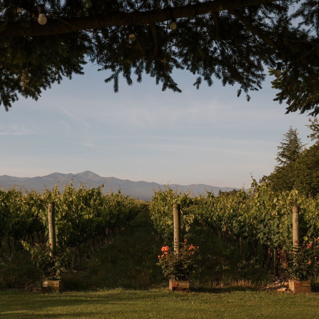 La mejor experiencia de enoturismo está en Finca La Emperatriz