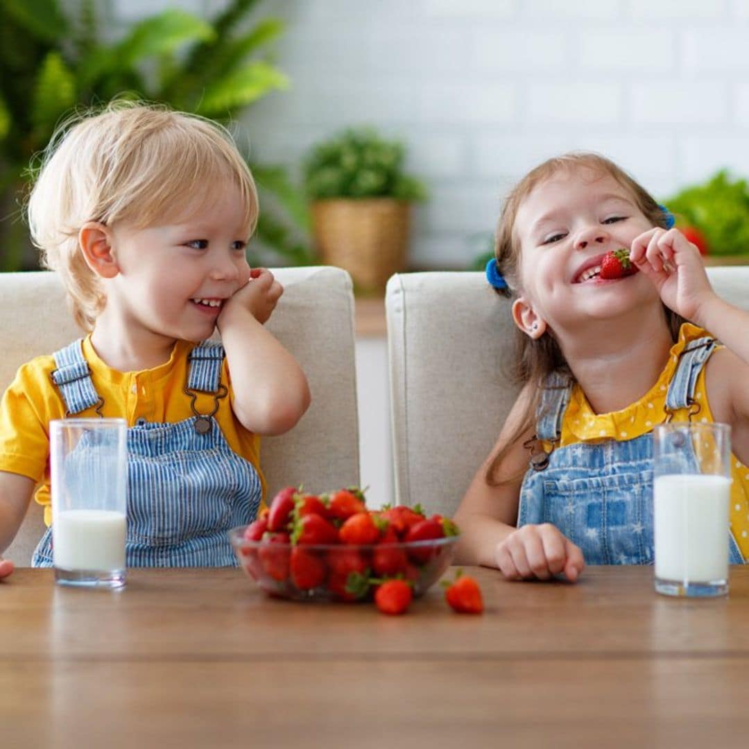 alimentos necesarios en la dieta del ni o