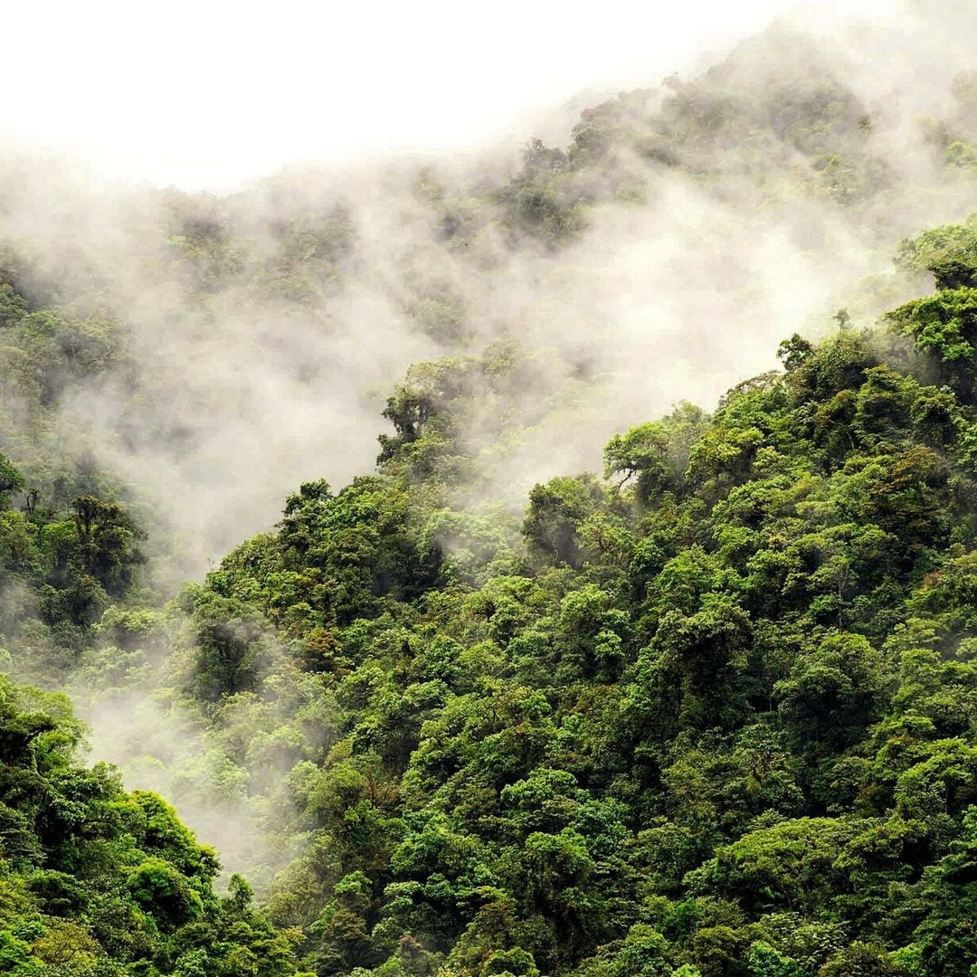 Costa Rica, una mágica jungla de biodiversidad