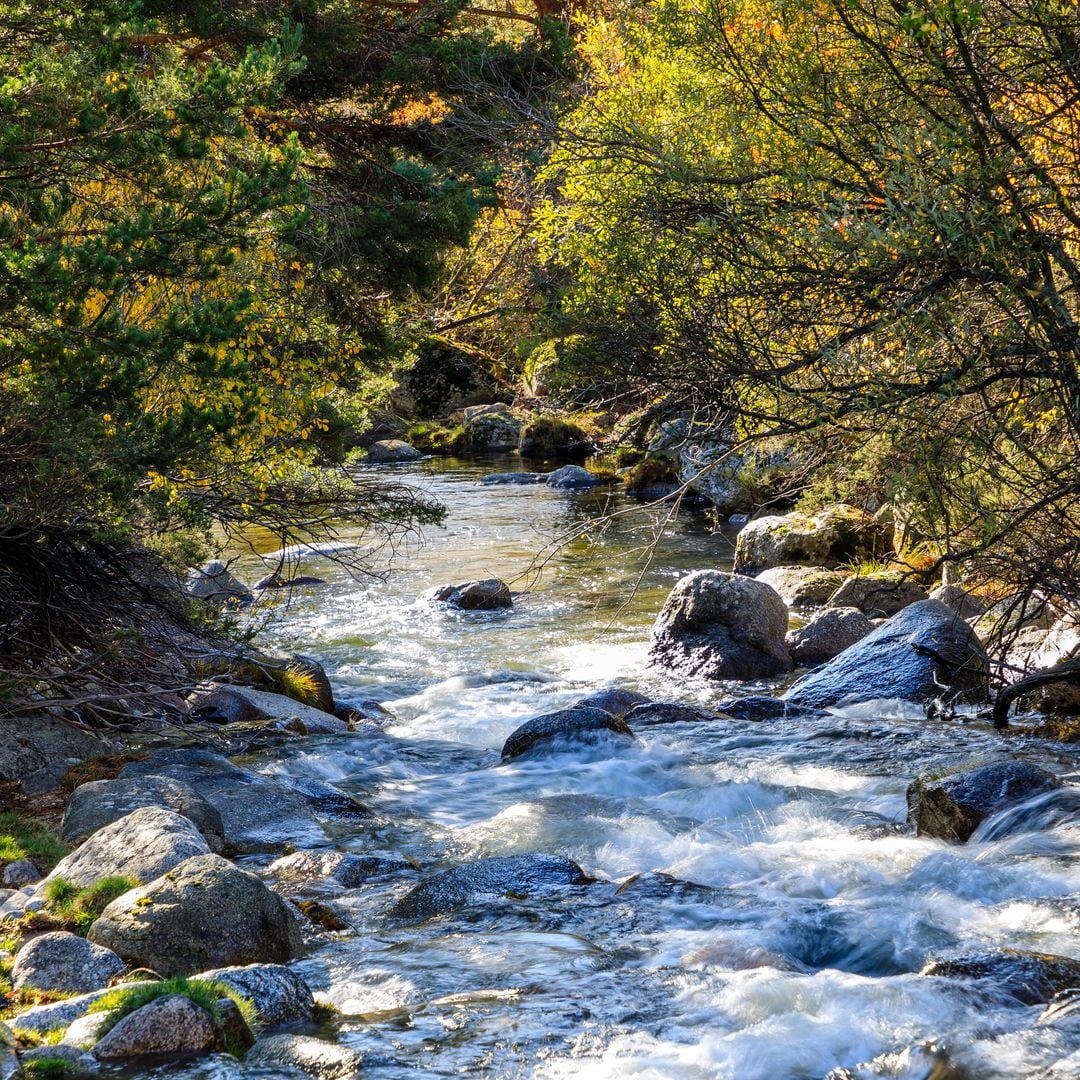 En la Sierra de Guadarrama nace el más madrileño de los Ríos, el Manzanares.