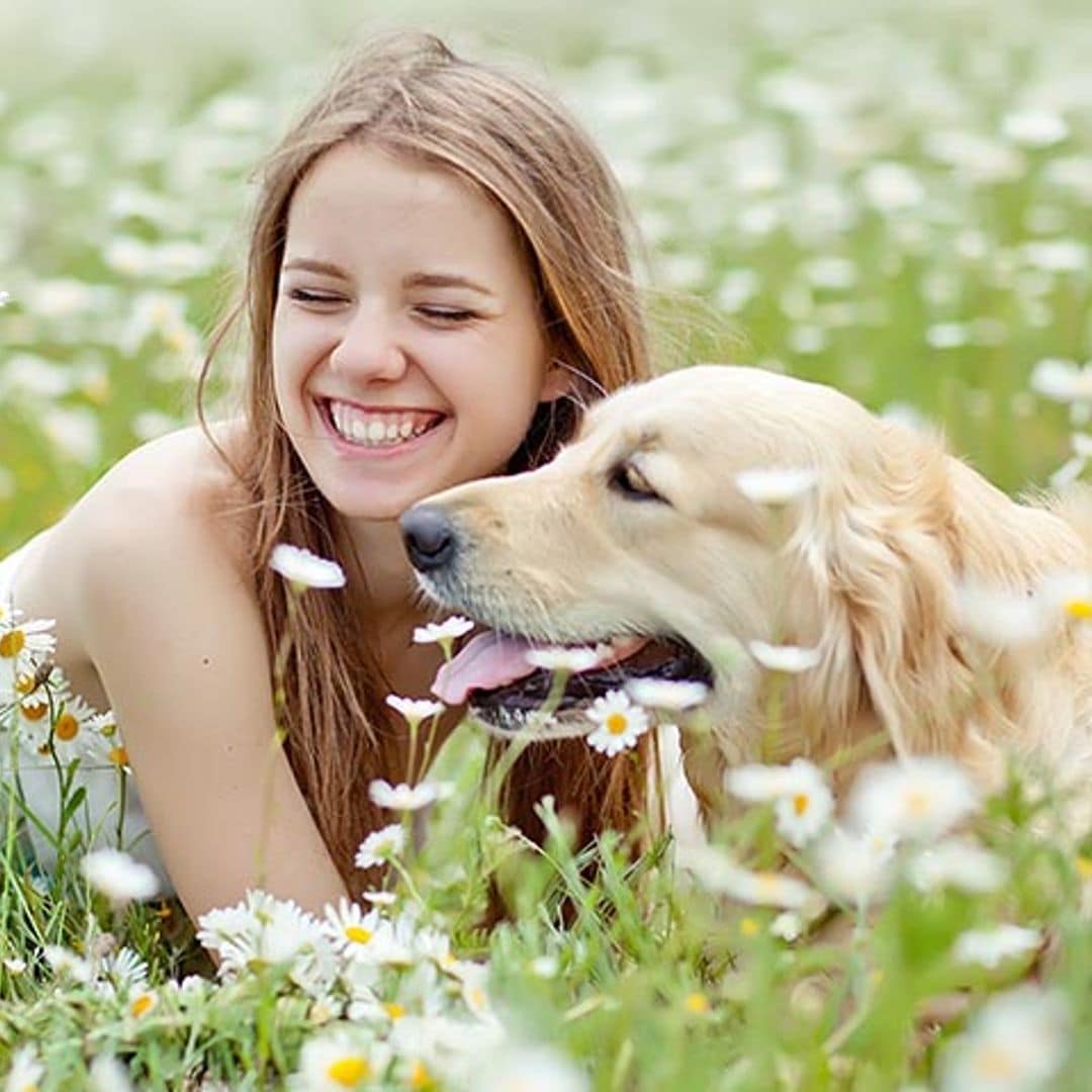 ¿Sabías que tu perro es sensible a tus emociones?