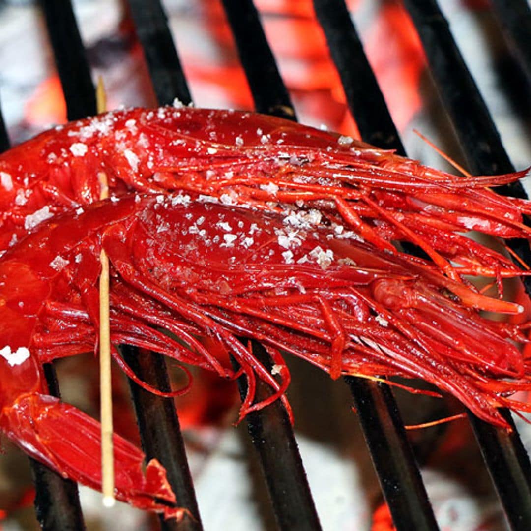 ¡Te damos la brasa! Carnes, pescados, arroces... en las mejores parrillas