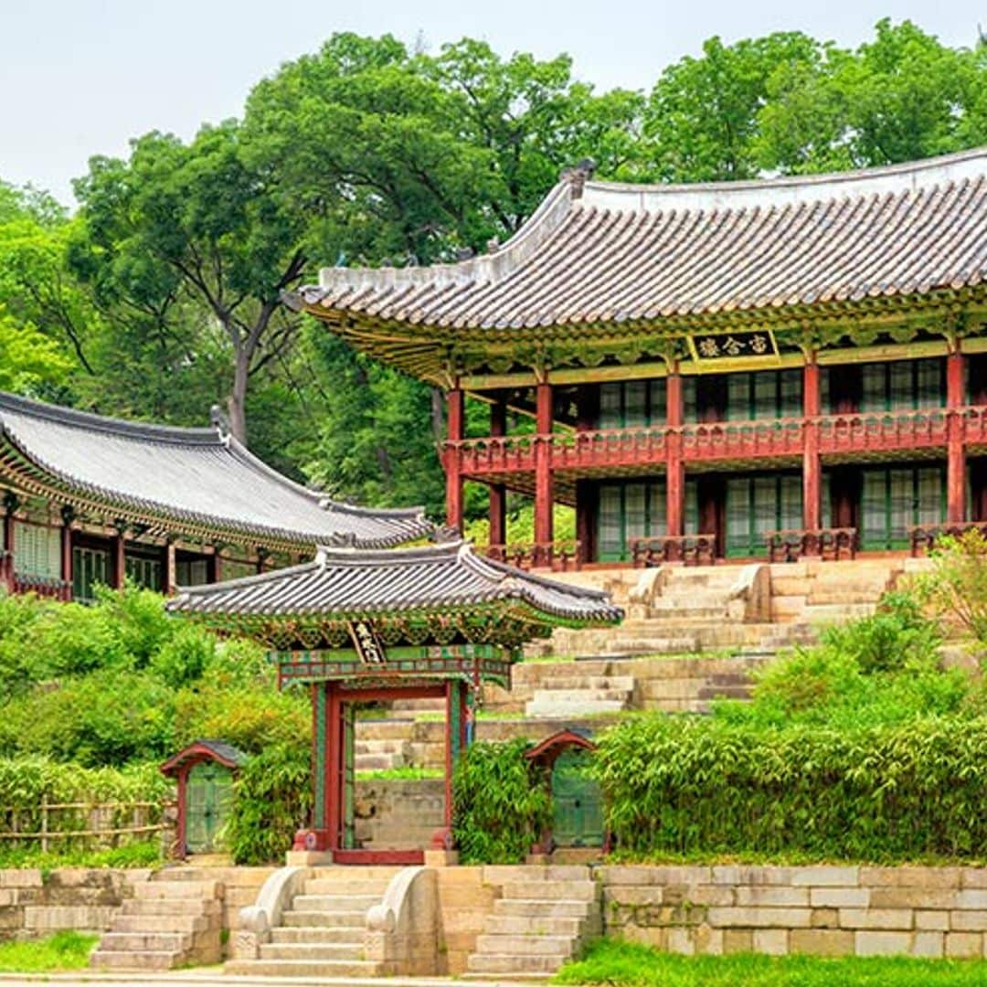 Corea del Sur: todas las claves para disfrutar de tu primer viaje al país