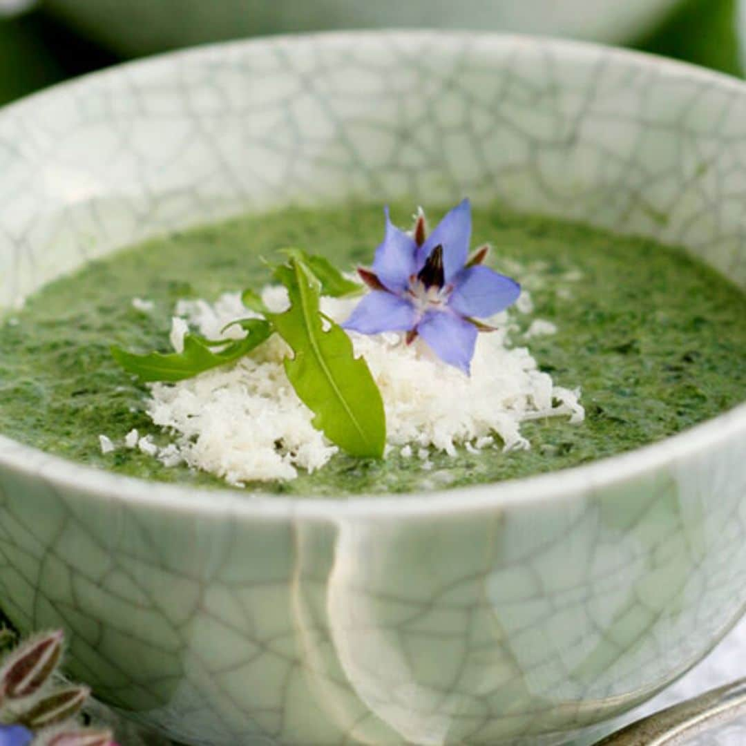 Sopa de borraja y rúcula con parmesano