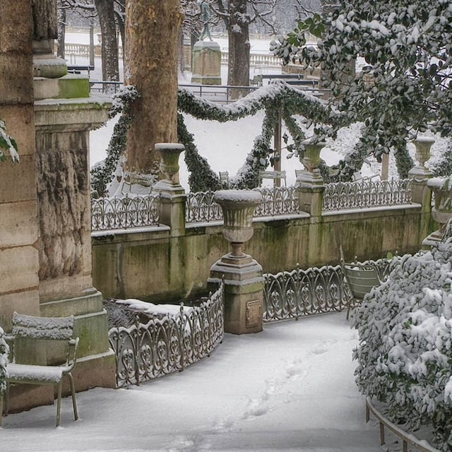 jardin decoracion plantas invierno hola