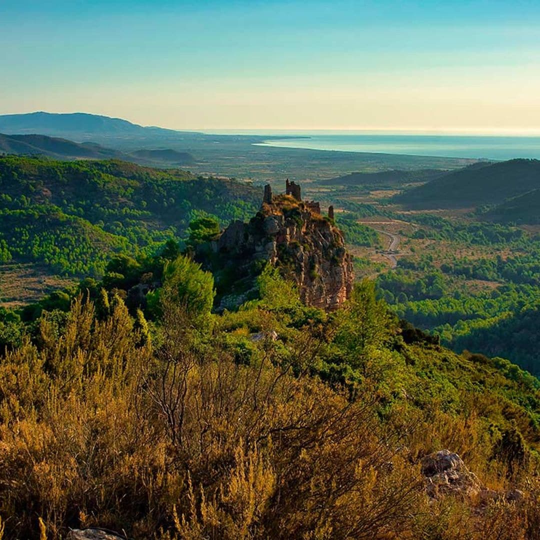 desierto palmas castellon 2h4wfwc