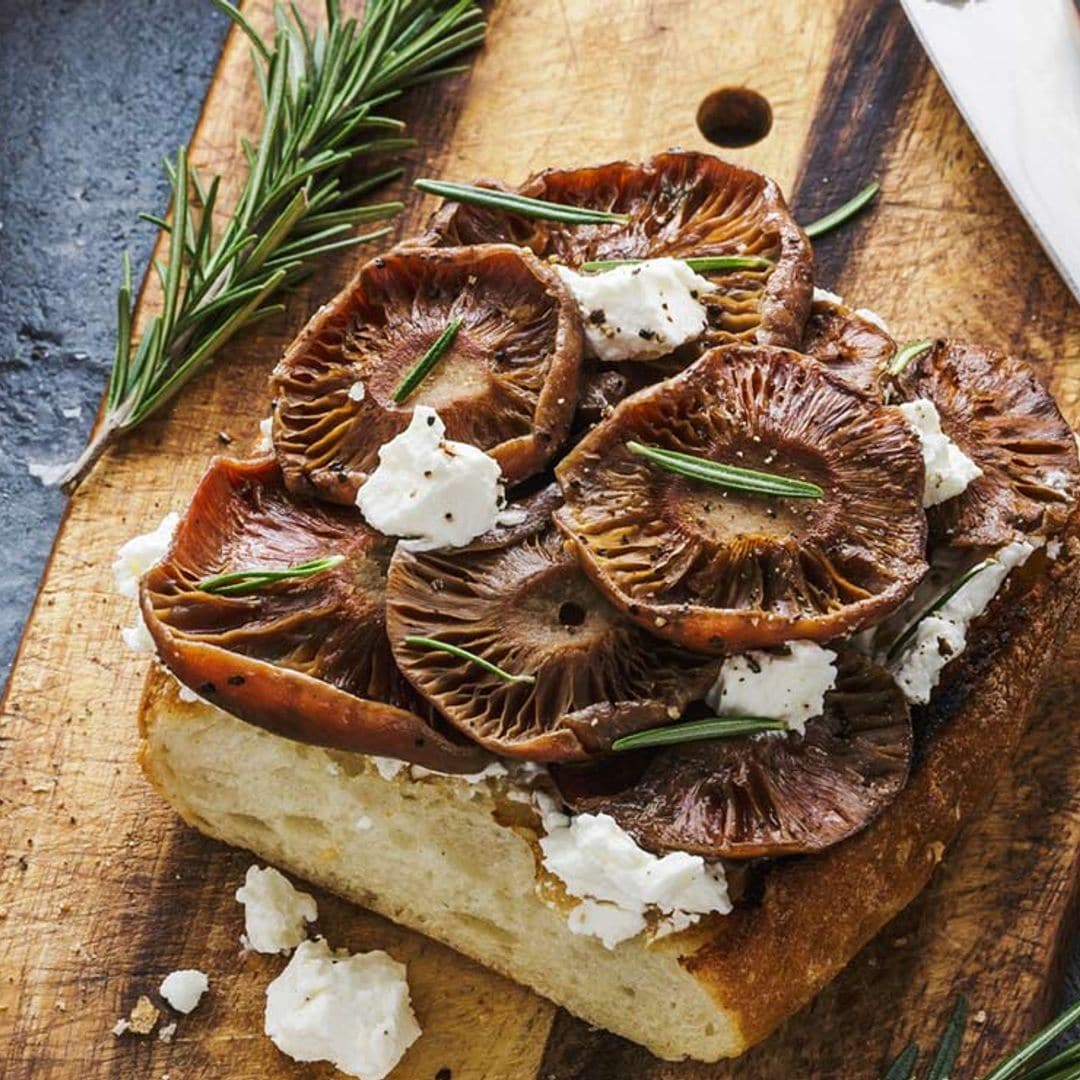 'Bruschetta' de níscalos y queso al romero