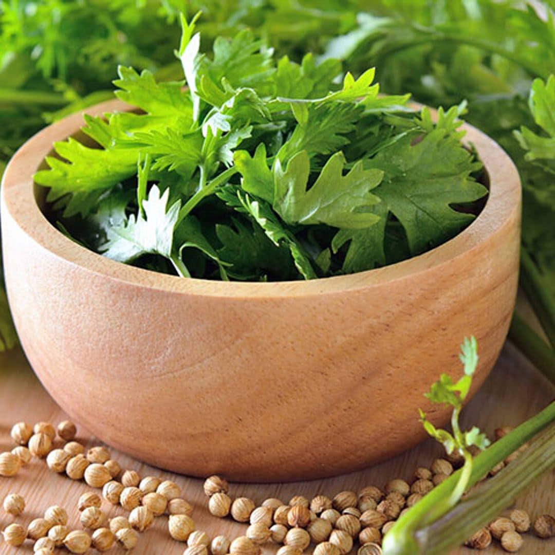 Cilantro, o lo amas o lo odias