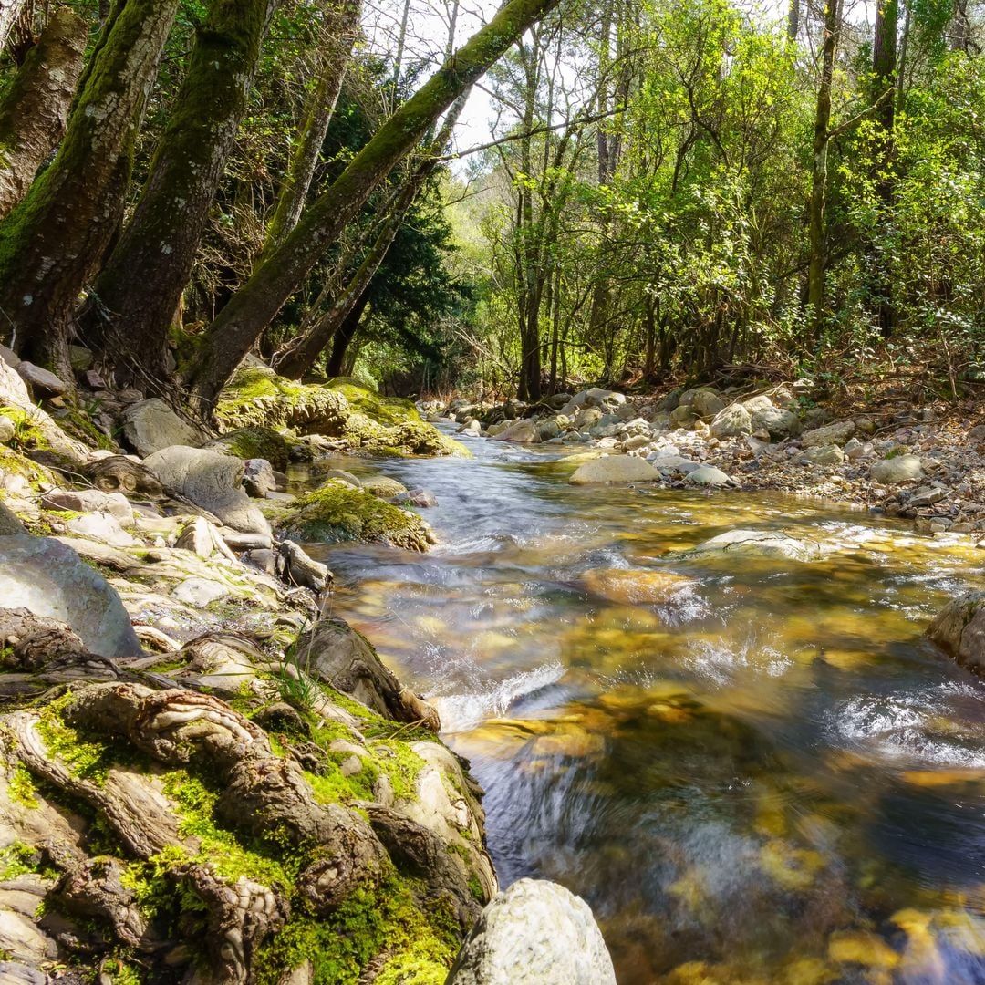 Riachuelo en el bosque de las Batuecas, Salamanca