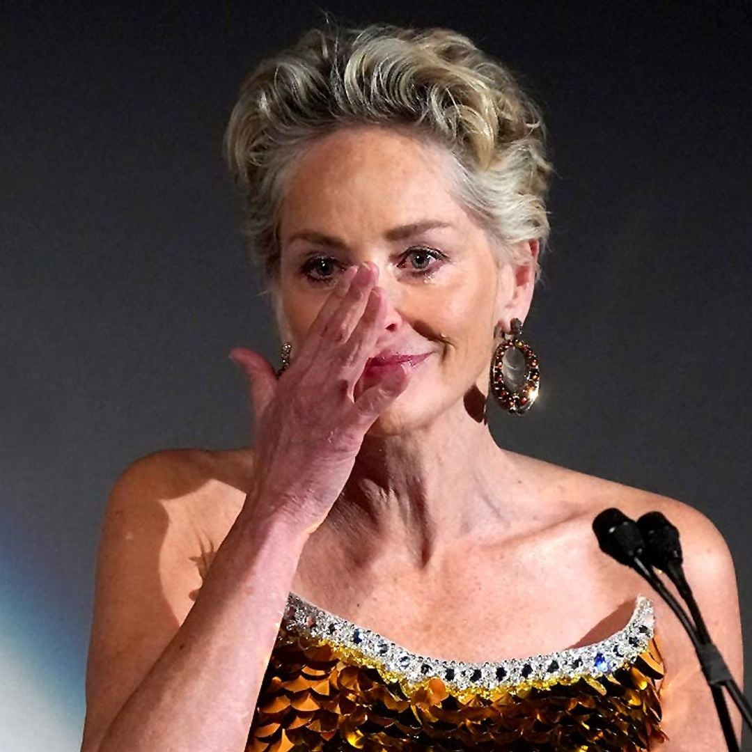 Sharon Stone anuncia entre lágrimas la repentina muerte de su hermano tras perder a su sobrino de once meses