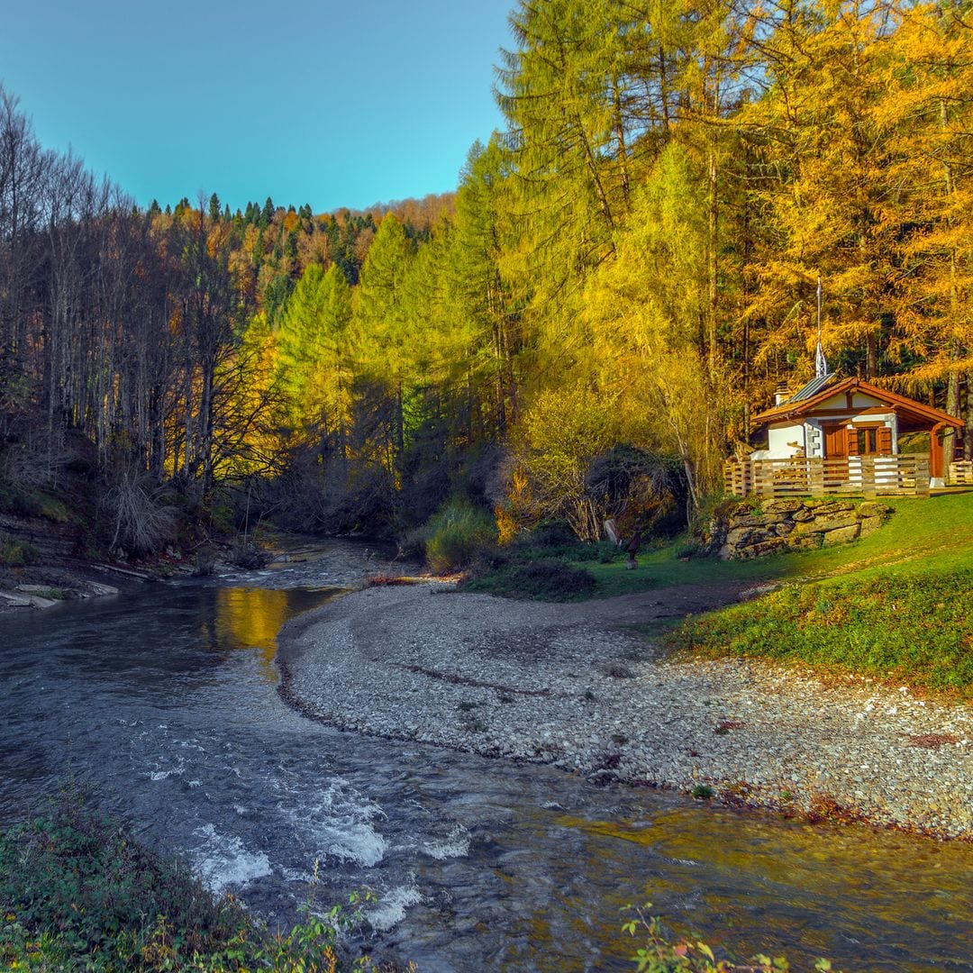 Otoño en la Selva de Irati, Navarra