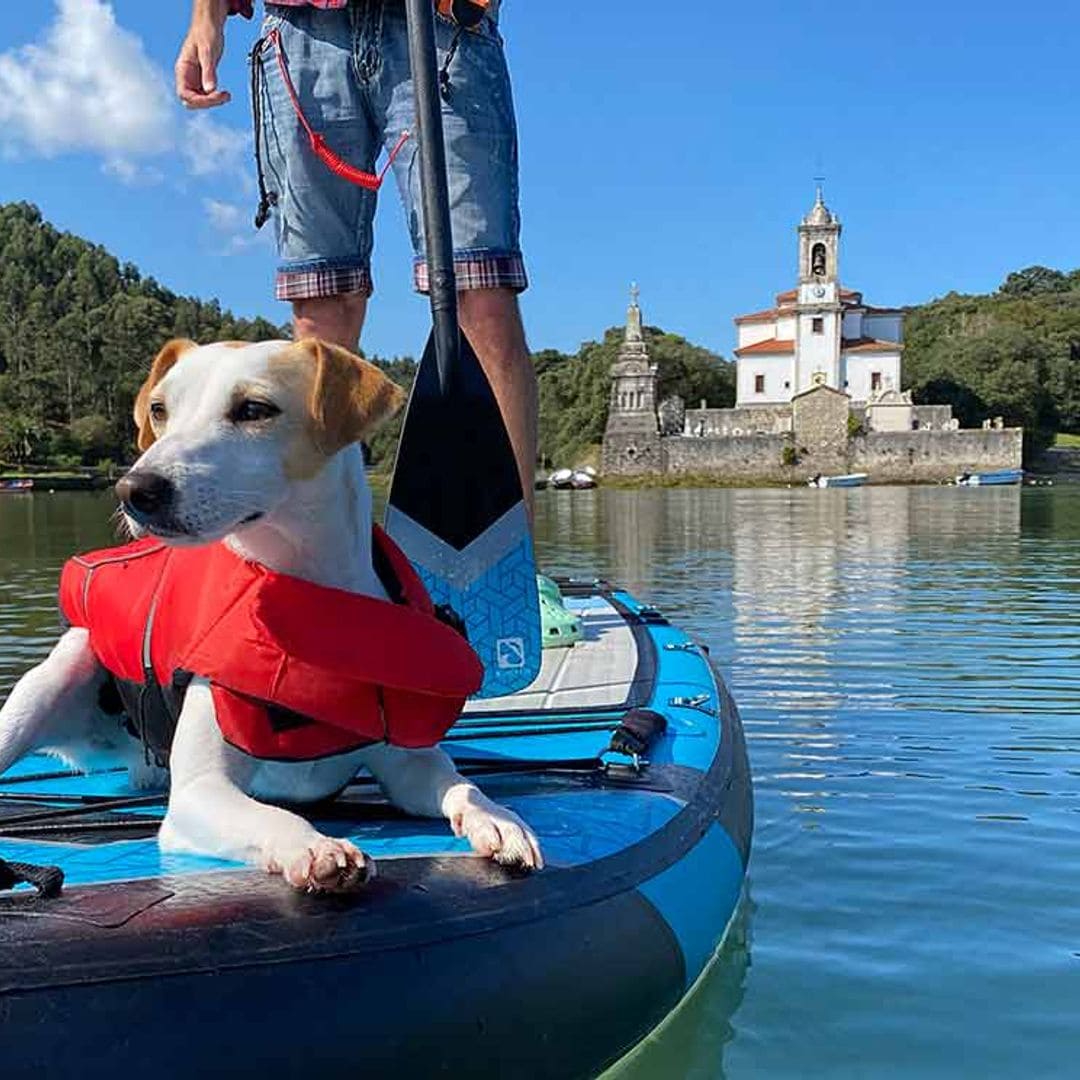 Pablo Muñoz Gabilondo: ‘En España hay 110 playas caninas, pero solo 20 son recomendables’