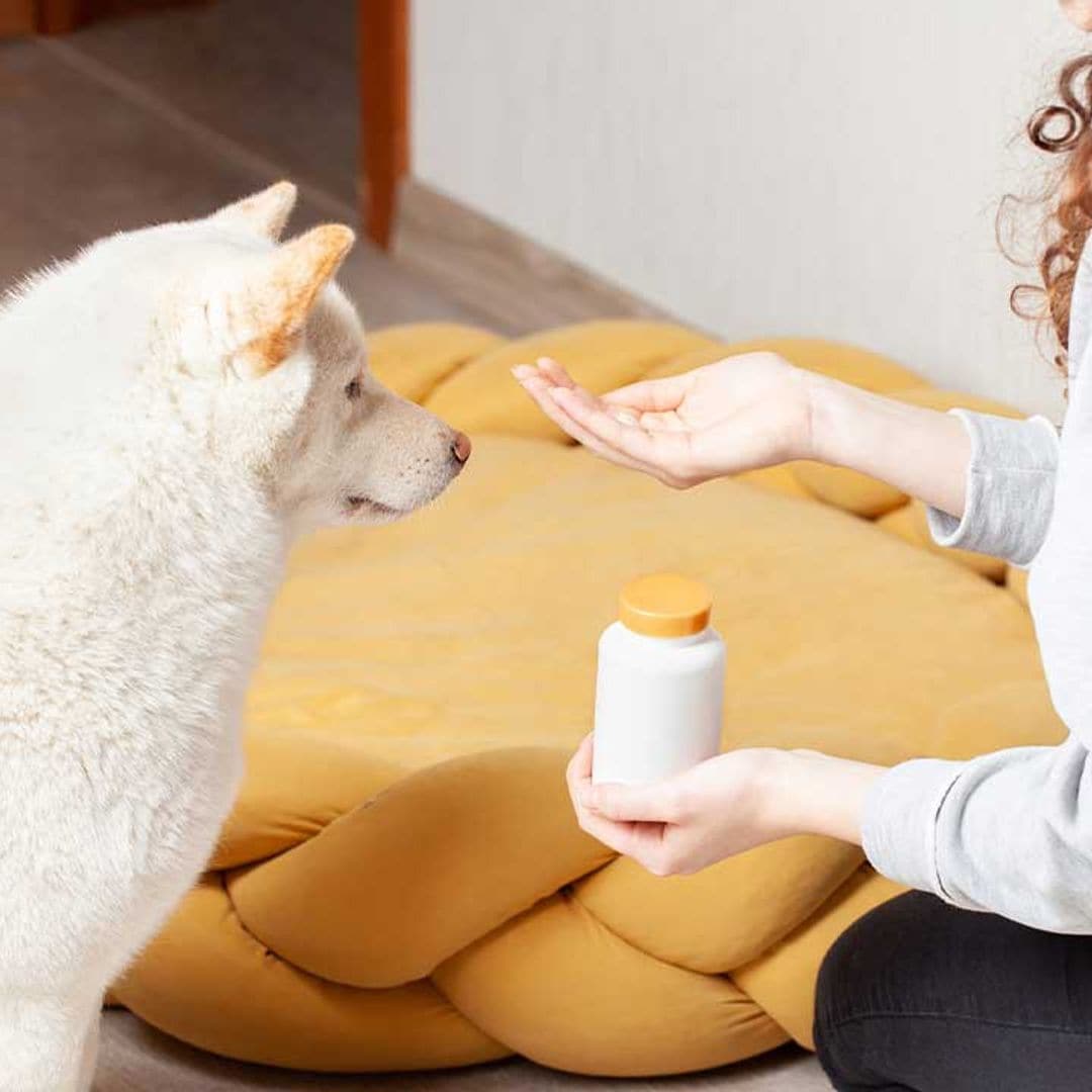 Dale un impulso a la salud de tu mascota con los mejores suplementos nutricionales