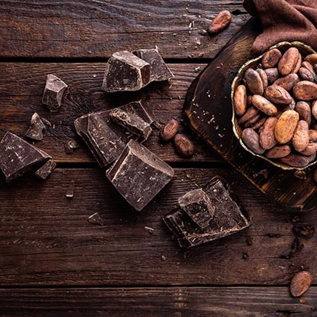 No te prives de los beneficios del cacao