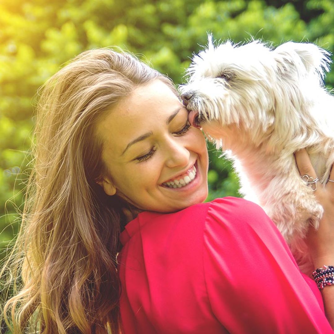 ¿Por qué no debes dejar que tu perro te lama la cara?