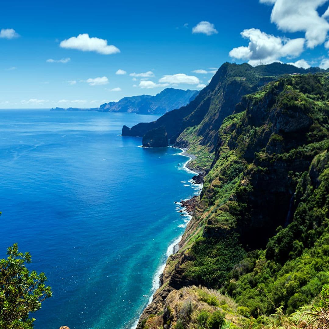 Los imprescindibles en Madeira para cualquier viajero