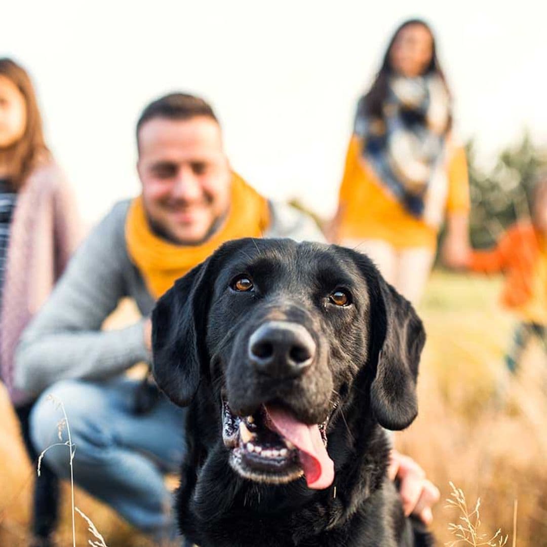 Rasgos de tu comportamiento que denotan que tu mascota es parte de la familia